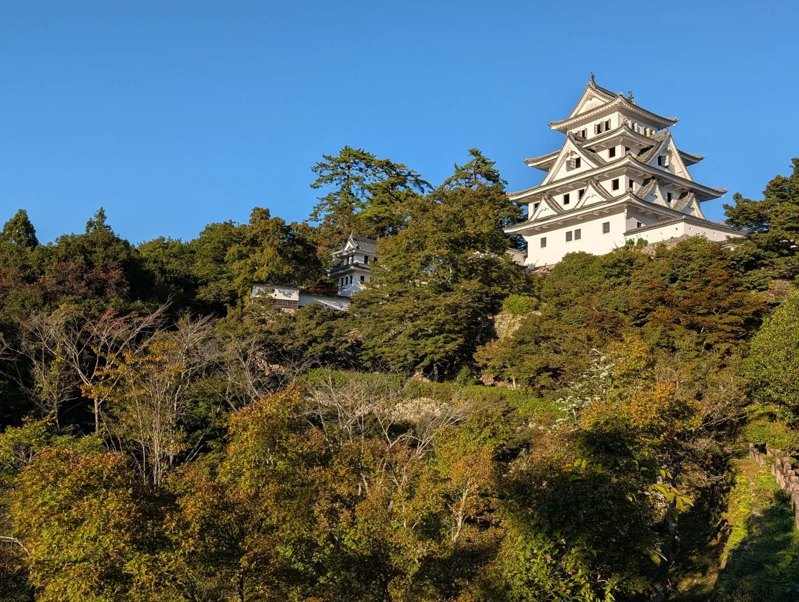 Hachiman Castle above autumn trees in Gujo-Hachiman