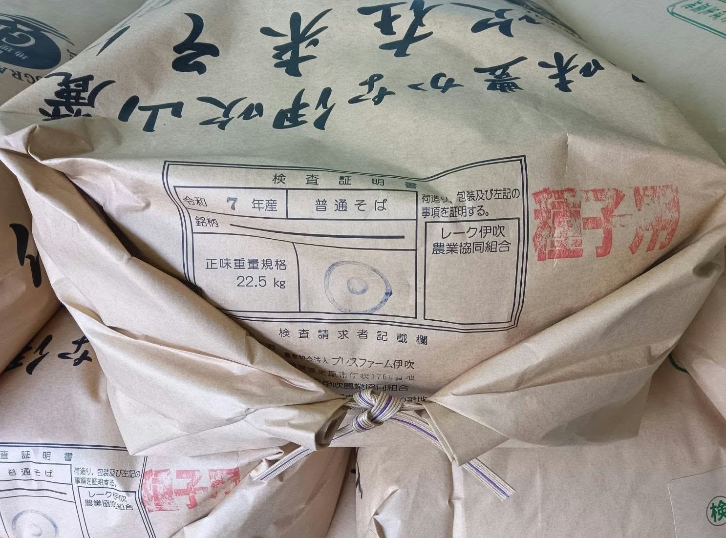 Inspected seed bags from last year's crop, stamped for seed